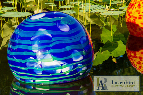 Chihuly Niijima Float